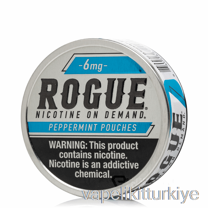 Vape Pen Vape Mate Rogue Nikotin Torbaları - Nane 6mg